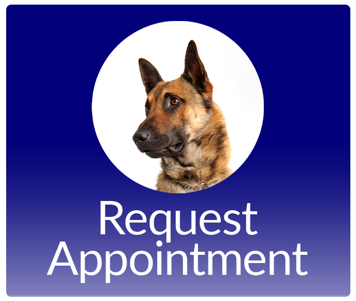 Request an Appointment